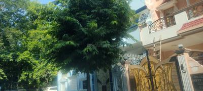Main Entrance Image of 1620 Sq.ft 3 BHK Builder Floor for sale in Shahdara New Delhi for Rs. 30000000