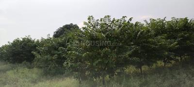 Image of 10000 Sq.ft Residential Plot / Land for sale in Rahatgaon, Amravati for Rs. 27700000
