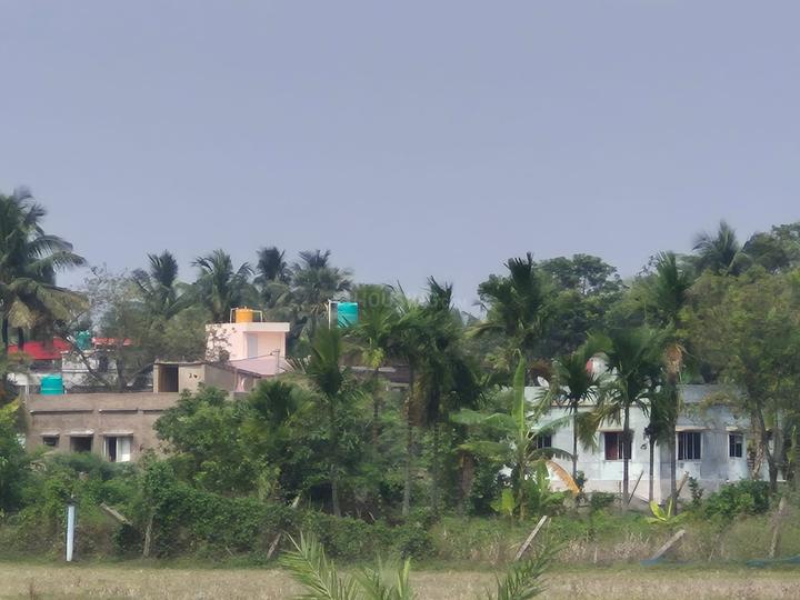 Kavisha Green Main Image 1
