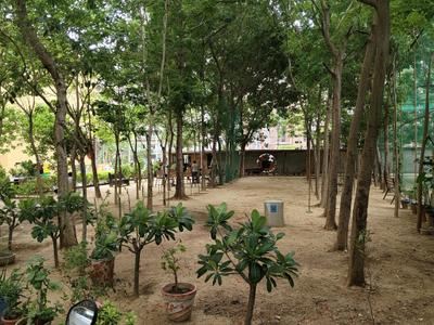 Image of 1500 Sq.ft 3 BHK Apartment / Flat for sale in HN Safal Marigold, Bopal, Ahmedabad for Rs. 7900000