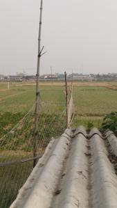 Image of 7480 Sq.ft Residential Plot / Land for sale in Birbhanpur, Varanasi for Rs. 10000000