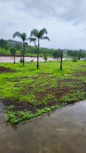 Image of 4812 Sq.ft Residential Plot / Land for sale in Olympeo Retreat, Boriwali, Thane for Rs. 7218000