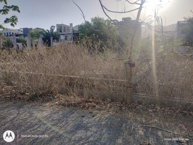 Bari Plot View 1