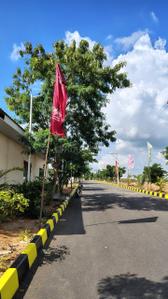 Shadnagar hmda open plots Plot View 2