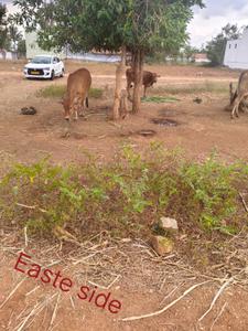 Image of 2247 Sq.ft Residential Plot / Land for sale in Kottaipalayam, Coimbatore for Rs. 3500000