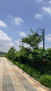 Image of 43560 Sq.ft 5 BHK Farm House for sale in DLF Phase 2, Gurgaon for Rs. 90000000