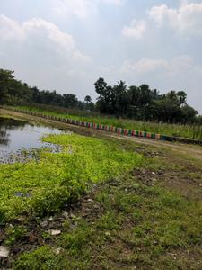 Image of 720 Sq.ft Residential Plot / Land for sale in Natures Paradise, Joka, Kolkata for Rs. 199999