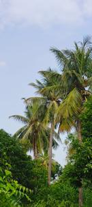 Image of 8000 Sq.ft Residential Plot / Land for sale in Patan, Durg for Rs. 5208000