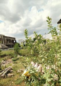 Image of 1962 Sq.ft Residential Plot / Land for sale in Kadachanendhal, Madurai for Rs. 5400000