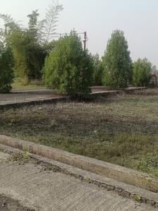 Image of 1250 Sq.ft Residential Plot / Land for sale in Bodri, Bilaspur for Rs. 1500000