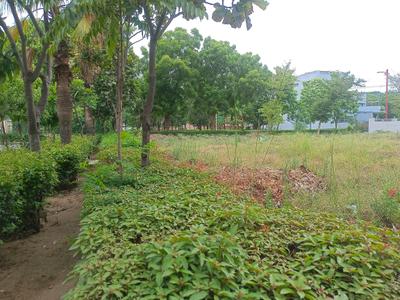 QVC G99 Plot View 2