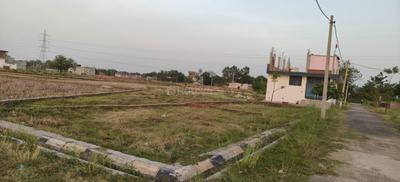 Image of 1125 Sq.ft Residential Plot / Land for sale in Kalli Poorab, Lucknow for Rs. 1911000