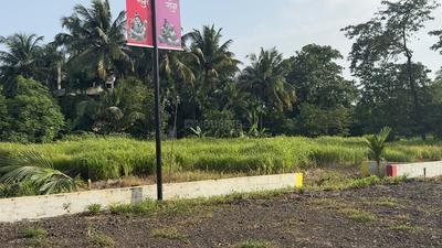 Residential Plot