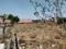Sri Vari Meadows Plot View 1