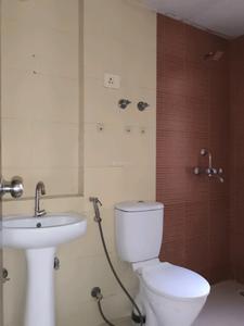 Common Bathroom Image of 1100 Sq.ft 2 BHK Apartment / Flat for rent in Mahagun Mywoods Phase 2, Noida Extension Greater Noida for Rs. 26000