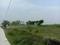 M M Jewel Park Township Main Image 1