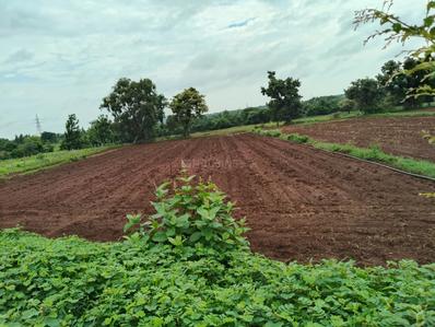 Image of 21780 Sq.ft 1 RK Farm House for sale in Pargi, Vikarabad for Rs. 5000000