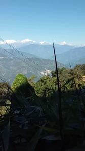 Floor Plan Image of 2178 Sq.ft Residential Plot / Land for sale in Kalimpong Khasmahal Kalimpong for Rs. 1500000