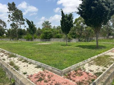 Fortune Lake view Plot View 3