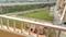 Saraswati Apartments Balcony 1