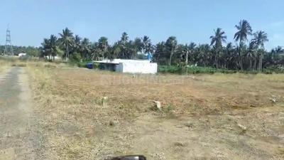 Sundarapuram Plot View 2