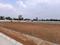 PGR Urban City Southegowdanahalli Plot View 2