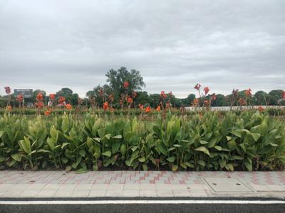 Image of 133 Sq.ft Residential Plot / Land for sale in New Stone Coral Park, Sector 84, Faridabad for Rs. 17290000