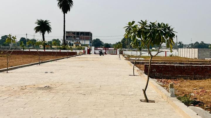 Anora Kala Main Image 1