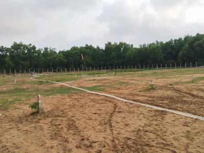 Image of 1500 Sq.ft Residential Plot / Land for sale in Balikuda Sahi, Puri for Rs. 3750000