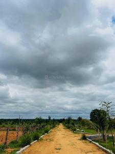 Agricultural Land