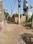 Kalli ekta nagar Plot View 2