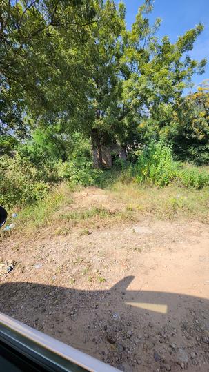 Surmiya 1 Main Image 1