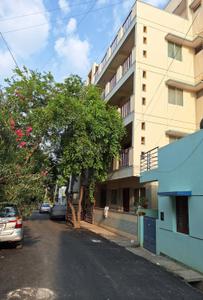 Image of 800 Sq.ft 1 BHK Apartment / Flat for rent in Begur, Bengaluru for Rs. 20000