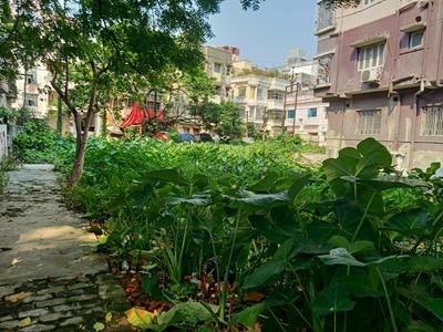 Image of 8100 Sq.ft Residential Plot / Land for sale in Keshtopur, Kolkata for Rs. 56250000