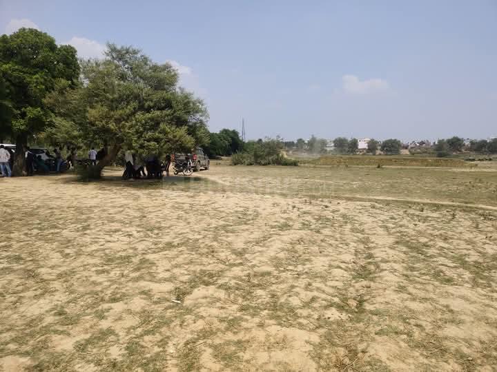 Eco garden  Main Image 1