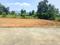 New Fairlands, Alagapuram Pudur Plot View 2