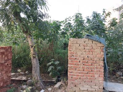 Image of 162 Sq.ft Residential Plot / Land for sale in Sector 122, Noida for Rs. 42000000