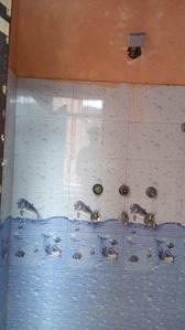 Image of 810 Sq.ft 4 BHK Independent House for sale in Sector 49, Faridabad for Rs. 20500000