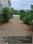 Thendral Nagar Main Image 1