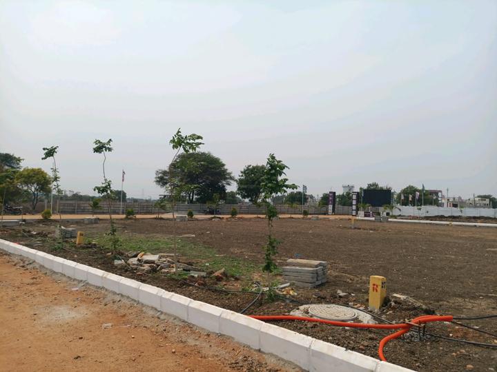 PLATINUM RIDGE Main Image 1