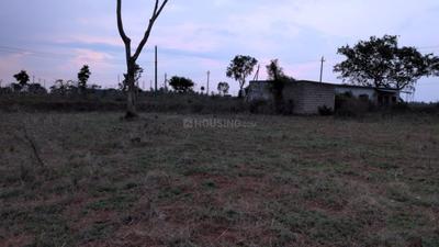Udbur Plot View 2