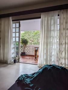 Bedroom Image of 2450 Sq.ft 4 BHK Apartment / Flat for rent in Halasuru Bengaluru for Rs. 140000