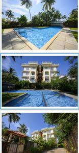 Image of 879 Sq.ft 1 BHK Apartment / Flat for sale in Acron Candolim Elite, Calangute, Goa for Rs. 13500000