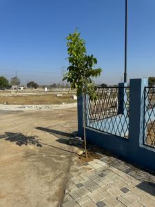 Image of 1100 Sq.ft Residential Plot / Land for sale in Harode Mahalaxmi Nagar 44 And Goverdhan Nagari 14, Tarodi Bk, Nagpur for Rs. 2667000