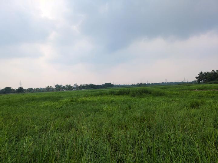 Wander Valley Main Image 1