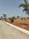 JB Group Plot View 2