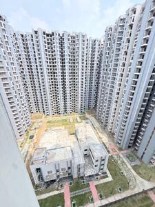 Image of 1115 Sq.ft 2 BHK Apartment / Flat for rent in Amrapali Dream Valley 2, Noida Extension, Greater Noida for Rs. 20000