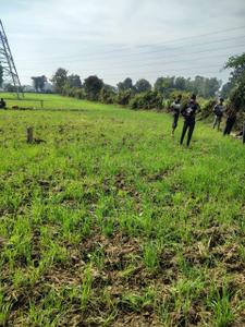 Image of 1500 Sq.ft Residential Plot / Land for sale in Chanehata, Katni for Rs. 1200000