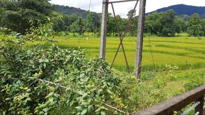 Image of 43560 Sq.ft Residential Plot / Land for sale in Kajubagh, Karwar for Rs. 3100000