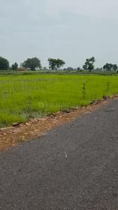 Image of 6300 Sq.ft Residential Plot / Land for sale in Datrenga, Raipur for Rs. 3465000